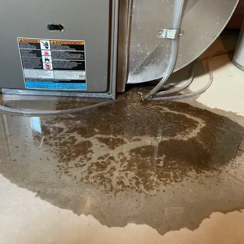 Appliance Leak Cleanup in Beaufort County, SC